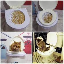 learn cat toilet training kit trendy deals koshachi lotki vse dlya koshek koshachij domik