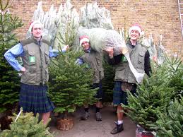 Get directions link opens in new tab. Where To Buy Christmas Trees In London The London Resident