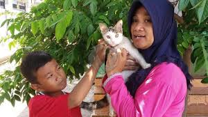 Video memelihara kucing kampung ternyata cukup ampuh menghalau ular kobra masuk ke dalam rumah. Aksi Heroik Seekor Kucing Di Mojokerto Tiga Kali Usir Kobra Faktualnews Co