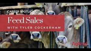 Career Spotlight: Feed Sales