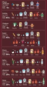 Alcohol Infographic Liquor Whiskey Beer Wine Vodka 5 Alcohol Infographic Alcohol Facts