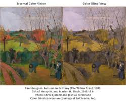Enchroma color vision test : Enchroma Glasses Enable Color Blind Visitors To Experience Nelson Atkins Museum Of Art In Vibrant Color Business Wire