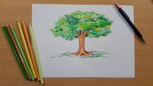 Tree Color Pencil Drawing Color Pencil Drawing Ideas Tree vector illustration hand drawn painted.