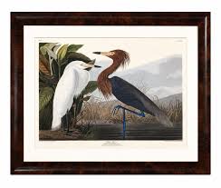Botanical & Natural History Prints · Antique Prints, Inc.