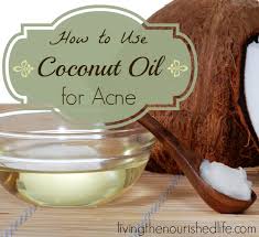 Image result for free images of coconuts and oil
