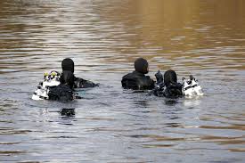 La météo des villes les plus proches. Un Homme Trouve La Mort En Jet Ski Noye Dans La Garonne Pres De Toulouse Actu Toulouse
