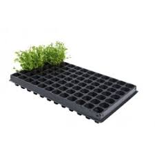 Their distinctive features include primary cell walls containing cellulose, hemicelluloses and pectin, the presence of plastids with the capability to perform photosynthesis and store starch. China Plug Trays Nursery Trays Plastic Seeding Trays Seed Tray Seeding Tray Cell Trays Plug Tray Flower Tray Planter Trays Growing Tray Plant Trays China Horticulture And Plants Price