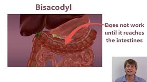 Read all information given to you. Stimulant Laxatives Socium Picosulfate And Bisacodyl Youtube