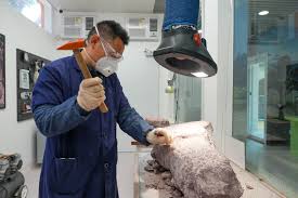 中国科学院古脊椎所化石修理技术员何思财表示，化石发掘后，必须小心将