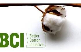 Work at better cotton initiative? Better Cotton Approves 9 Million Spending Materials Production News News