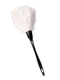 Amazon.com: Sex Feather White 9.9 Inch Adult Sex Set Tease Feather Tickler  Sexy Toys for Couples SM Flriting Toy Cosplay Role play : Health & Household