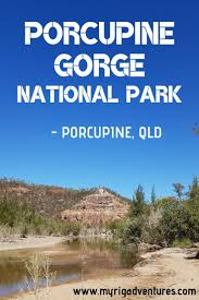 Porcupine Gorge National Park Qld National Parks Australia Vacation Australia Tourism