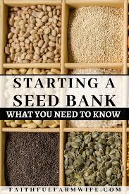 What You Need To Know Before You Start A Seed Bank Faithful Farmwife In 2020 Seed Bank How To Store Seeds Seeds