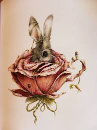 A White Rabbit In A Flower Teacup Alice In Wonderland Through The Looking Glass Ink Bunny Art Drawings Art