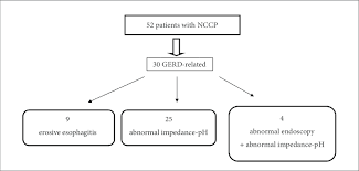 Flow Chart Of Our Study Population Nccp Non Cardiac Chest