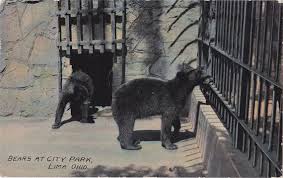 Pin On Bears
