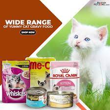 We have dry food, gravy food, and canned food to feed your felines according to their appetite. A Wide Range Of Yummy Cat Gravy Food Cat Nutrition Chicken Cat Canned Cat Food