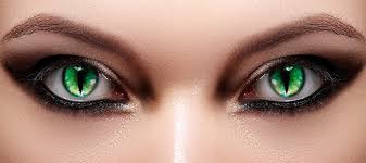 цветные линзы для карих глаз фото до и после Kak Podobrat Cvetnye Kontaktnye Linzy Blog Internet Magazina Ochkarik
