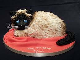 Http Www All Caked Out Co Uk Wp Content Gallery Novelty Best Cat Cake Jpg Cat Cake Birthday Cake For Cat Dog Cakes