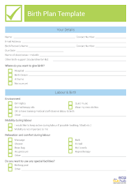 Birth Plan Template Printable Bub Hub
