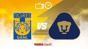Partidos de hoy liga mx 2020 en vivo gratis. Ø¹Ù„Ù‰ Ø§Ù„ØªÙˆØ§Ù„ÙŠ Ø£Ø±Ù†Ø¨Ø© ØªÙ…ÙŠØ² Pumas Y Tigres Hoy Centhini Resort Com