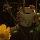 Katie Dineen event image