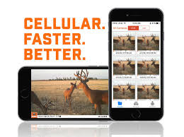 Trail cameras that send pictures to your phone.everybody wants them but most folks know very little about them. Trail Cameras Bushnell