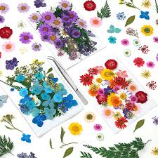 If you buy in bulk it's even cheaper. Buy Dried Flowers For Resin 120 Pcs Real Pressed Flowers Dry Leaves Bulk Natural Herbs Kit For Scrapbooking Supplies Diy Art Crafts Epoxy Resin Jewelry Candles Soap Making Gel Nails Art Online
