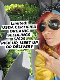 Aislynn Jamison Campbell