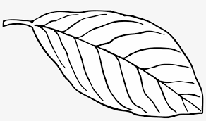 Maybe you would like to learn more about one of these? Outline Of A Butterfly 15 Buy Clip Art Leaf Clip Art 1280x694 Png Download Pngkit