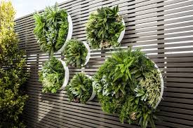 Evergreen Disks Evergreen Walls Vertical Garden Diy Artificial Plants Outdoor Vertical Garden Design