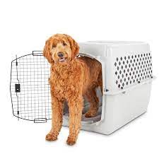 Explore other popular pets near you from over 7 million businesses with over 142 million reviews and opinions from yelpers. You Me Classic Dog Kennel 40 L X 27 W X 30 H Petco