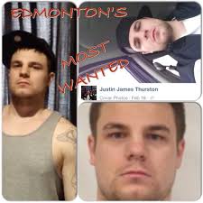 The Edmonton CRIME Report