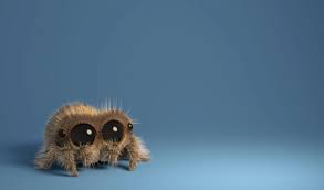 We did not find results for: Equal Parts Creepy And Cute Lucas The Spider Is Weaving Viral Youtube Acclaim With Tens Of Millions Of Views Tubefilter