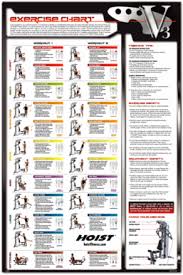 Fillable Online Exercise Chart Hoist Fitness Fax Email
