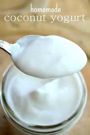 The best low carb keto yogurt recipe. Pin On Low Carb Yogurt Brands Alternatives
