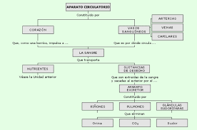 Cuadros Sinopticos Sobre El Aparato Circulatorio Para Descargar Cuadro Comparativo Aparato Circulatorio Sistema Excretor Sinoptico