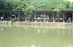 Godong Ijo Ada Jengis Khan Bisa Mancing Kiloan Tarikan Jackpot Kabar Mancing