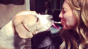 Kaley Cuoco Instagrams dog: The Big Bang Theory actress swaps spit with her  dog in super weird Instagram picture - Mirror Online