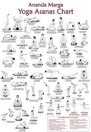 The practice of asana should be increased gradually. Asanas Yoga Postures Ananda Marga Meditation Yoga And Social Service Yoga Asanas Tantra Yoga Ananda Yoga