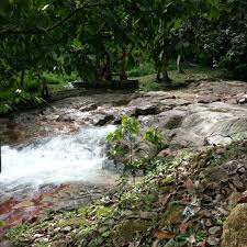 Locations saisonnières à hutan lipur bukit lagong. Fotos Bei Hutan Lipur Bukit Lagong Selayang 1 Tipp Von 161 Besucher