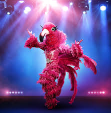 Michael becker/fox  the masked singer  showcased four celebrities on the november 20 episode who were disguised as the flamingo, flower, leopard and rottweiler. Flamingo Us The Masked Singer Wiki Fandom