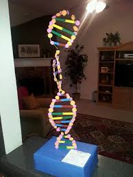 Biology Science Fair Projects For 9th Grade Pin By Thomas Welch On Noah S Memories Science Projects Dna Model Projects