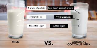 Coconut Milk Vs Milk How Do They Compare