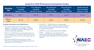 Long-Term EEG Professional Component Codes