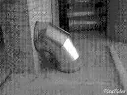 Stop It I M Trying To Be Sneaky Funny Gif Funny Pictures Tumblr Tumblr Funny