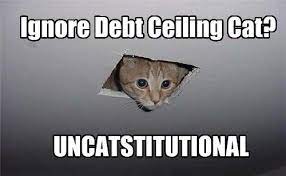 600 x 401 png 165 кб. Picture Of The Day Debt Ceiling Cat Is Watching You Negotiate The Atlantic