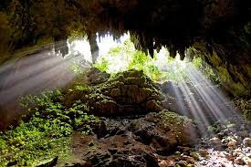Rio Camuy Cave Park Parque De Las Cavernas Del Rio Camuy Puerto Rico Trip Camuy Honeymoon Inspiration