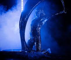 Bildergebnis für Joshua Serafin