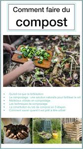 Comment Faire Du Compost Guide Complet En 2020 Comment Faire Du Compost Faire Son Compost Compostage